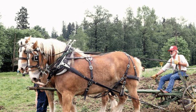 Keep the blinders on